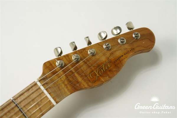 XTC-1 - Desert sand / Medium Aged / Alder / M / Roasted Flame Maple Neck #2606